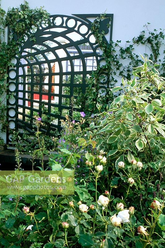 Gitter mit Spiegelhintergrund, der das Pflanzen im Garten reflektiert