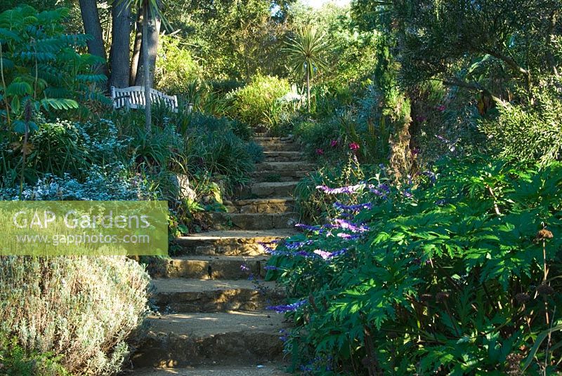 Schritte führen zum Mittelmeerufer - Abbotsbury Subtropical Gardens, Dorset