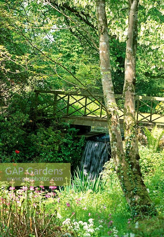 Holzbrücke über eine der vielen Kaskaden, die Admiral Robert Digby im 18. Jahrhundert erbaut hat, um Interesse am Flusslauf des Flusses Cerne zu wecken. Minterne Gardens, Nr. Dorchester, Dorset.