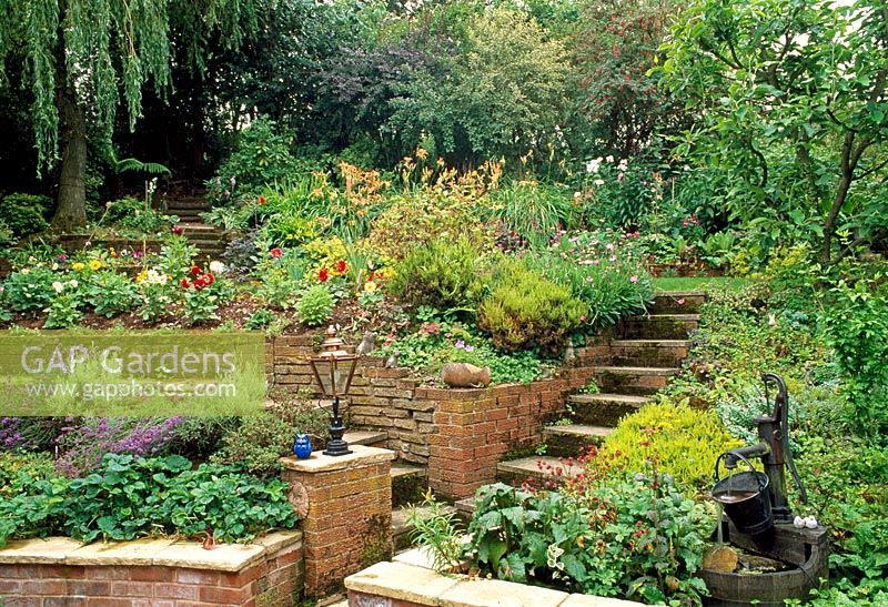 Steigert den terrassierten Garten mit gemauerten Hochbeeten aus Lavendel und Erdbeerpflanzen im Erdgeschoss, Dahlien auf der nächsten Ebene und einer alten Wasserpumpe auf der rechten Seite - 28A Braces Lane, Bromsgrove, Worcestershire