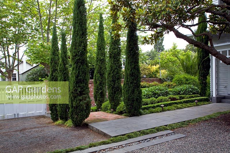 Eingang zum Vorstadtgarten mit Bett aus Cupressus sempervirens - Italienische Zypressen und reifer Magnolienbaum. Christchurch, Neuseeland