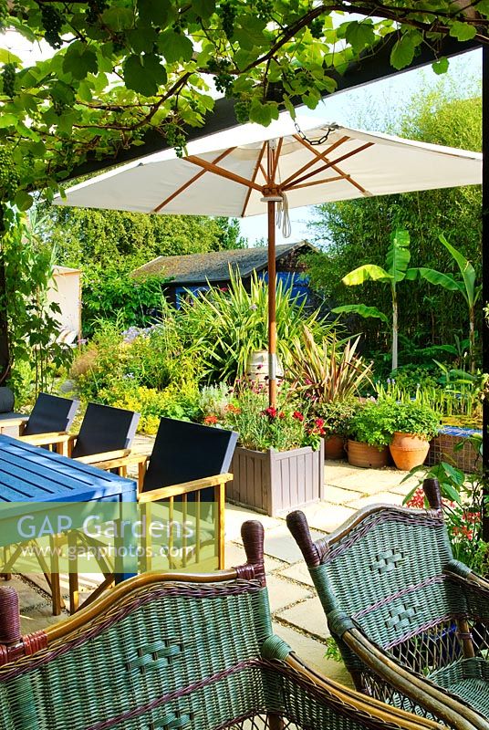 Sitzgelegenheiten unter einem überdachten Holzdach mit Vitis - Weinrebe. Blauer Tisch und Korbstühle. Leinwand Sonnenschirm