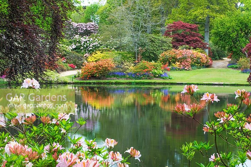 Azalee und Rhododendron und See bei Exbury Gardens, Hampshire, Mai