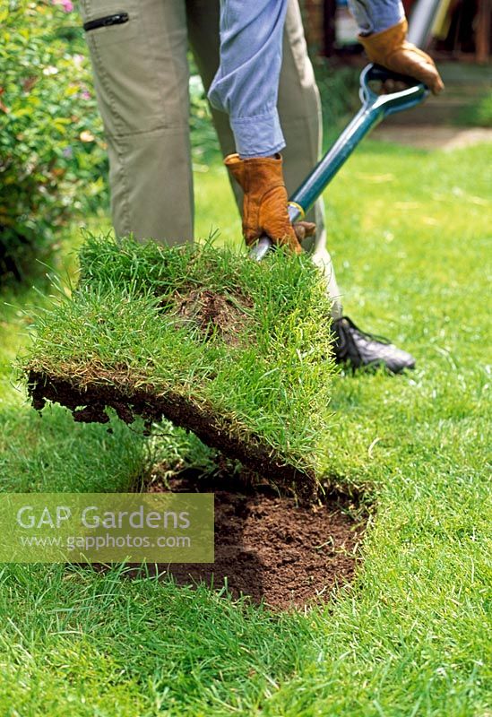 Entfernen Sie mit einem Spaten den Bereich des beschädigten Rasens und entfernen Sie etwa 15 cm Erde unter dem Rasen, sodass Sie ein flaches Loch haben
