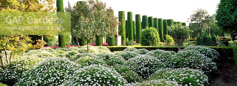 Die Gärten bei Alcazar de los Reyes Cristianos, Cordoba, Spanien