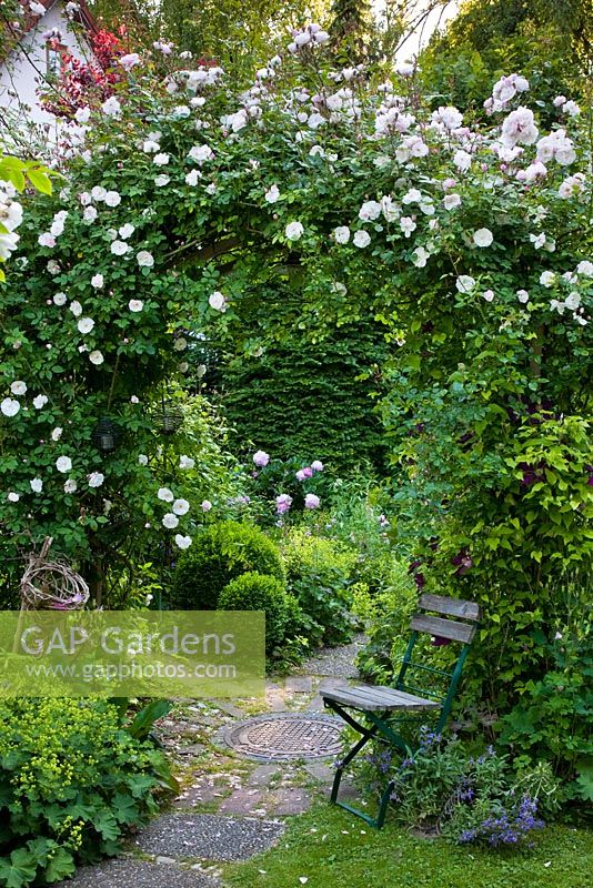 Romantischer Garten mit Rosenbogen über einer runden Terrasse und einem Holzstuhl. Zu den Pflanzen gehören Rosa 'Venusta Pendula', Alchemilla mollis, Buxus und Clematis 'Warzawska Nike'.