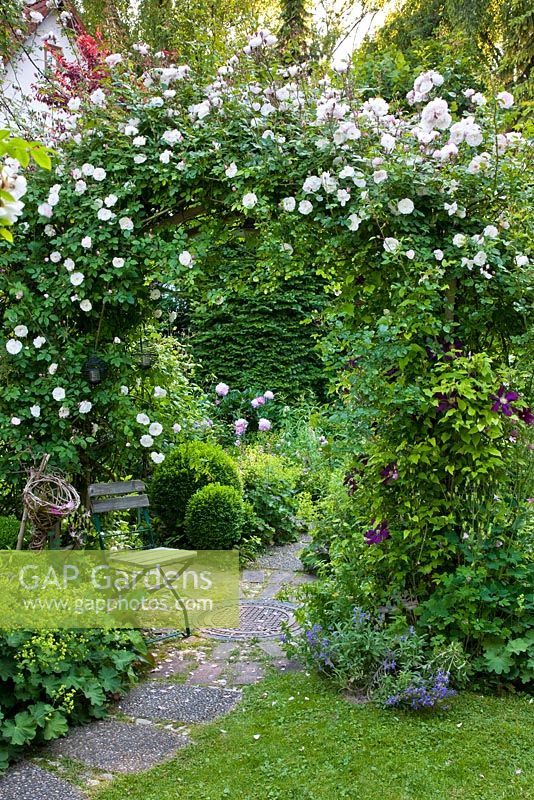 Romantischer Garten mit Rosenbogen über einer runden Terrasse und einem Holzstuhl. Die Pflanzung umfasst Rosa 'Venusta Pendula', Alchemilla mollis, Buxus und Clematis 'Warzawska Nike '