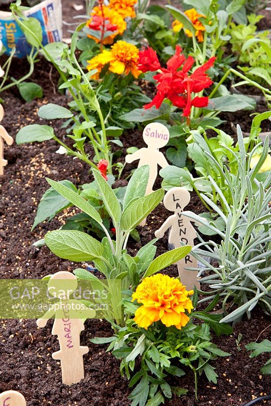Miniaturgarten für Kinder mit neuartigen Pflanzenetiketten, Kräutern und Ringelblumen
