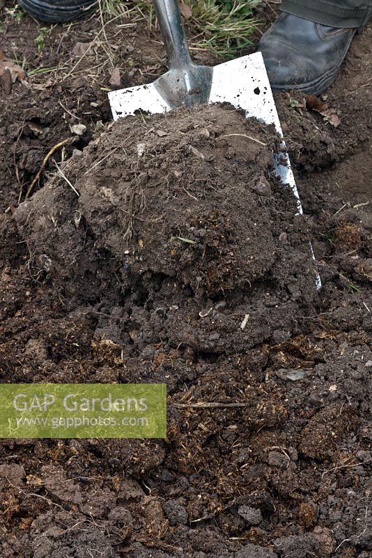Doppeltes Graben - Erde wird aus dem nächsten Graben gegraben und auf dem Kompost oder Mist in den letzten verwandelt
