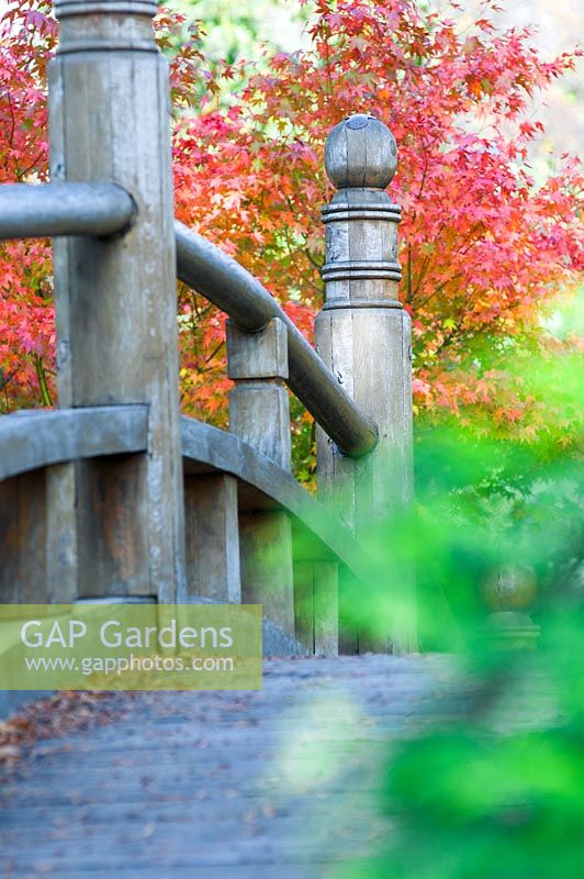 Holzbrücke im japanischen Garten, Breslau