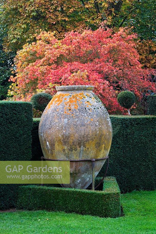 Großes spanisches Sherryglas, mediterraner Garten mit Acer- und Herbstlaub. Highgrove Garden, Oktober 2007.