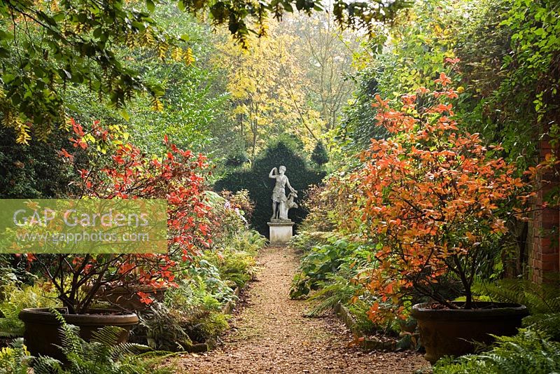 Der Azaleen-Spaziergang in Herbstfarben und mit der Statue von Diana, der Göttin der Jagd. Highgrove Oktober 2007.