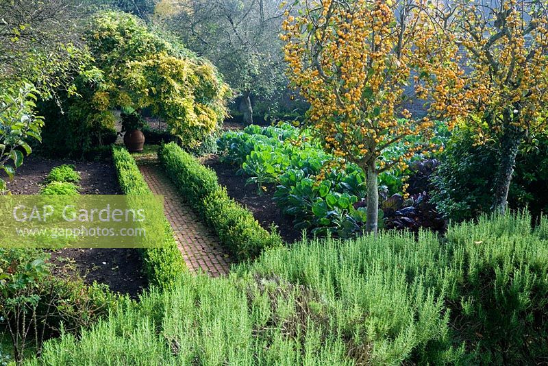 Holzäpfel und Gemüse im Walled Garden. Das Gemüse im Garten ist komplett biologisch. Der Garten enthält auch Obstbäume und einige Zierpflanzen.