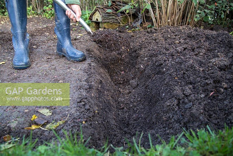 Doppeltes Graben - Hinzufügen von mehr Kompost zu neu gegrabenem Bettabschnitt