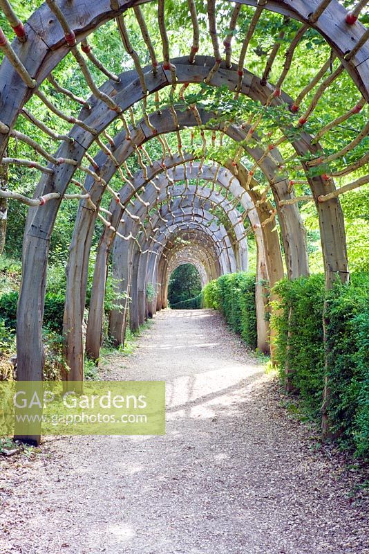 Holztunnel der Bögen - Die überhängenden Gärten von Marqueyssac, Perigord, Frankreich
