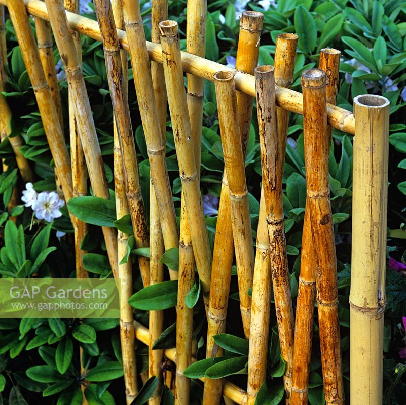 Zaun aus stabilen Bambusstangen.