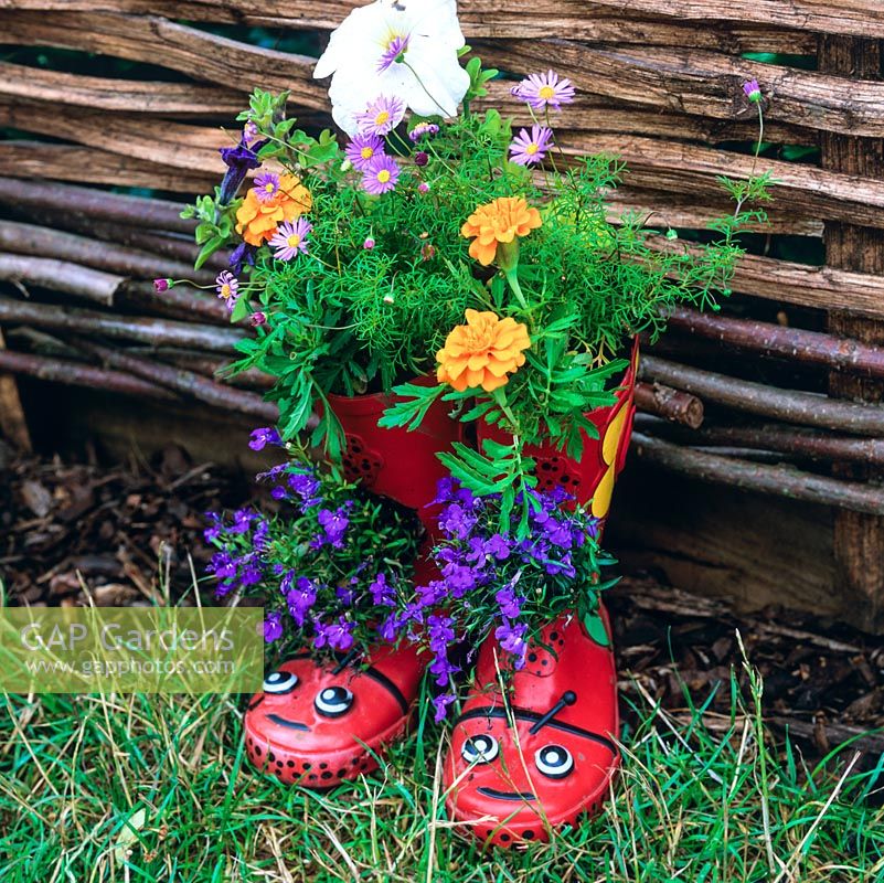 Paar Gummistiefel für Kinder, die als lustiger Blumentopf verwendet werden und mit Lobelien, Ringelblumen, Petunien und Brachyscome bepflanzt sind.