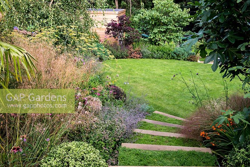 Mit Chamolie bepflanzte Stufen führen auf einen ovalen Rasen in einem terrassierten Garten auf zwei Ebenen. Die Pflanzung umfasst Dechampsia Bronzeschlier und Echinacea Double Pink Delight