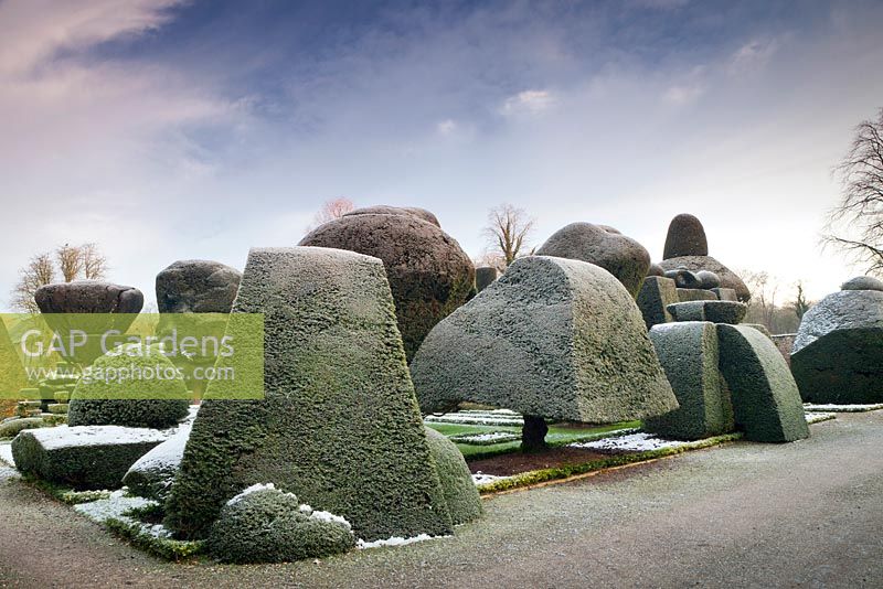 Frosty Topiary Formen und Charaktere in Levens Hall und Garden, Cumbria, UK.