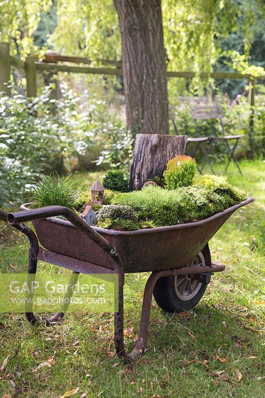 Miniatur Schubkarre Garten. Ein Miniaturgarten in einer Schubkarre aus Moos, Nadelbäumen, Ziersteinen, Muscheln, Tier- und Strukturfiguren