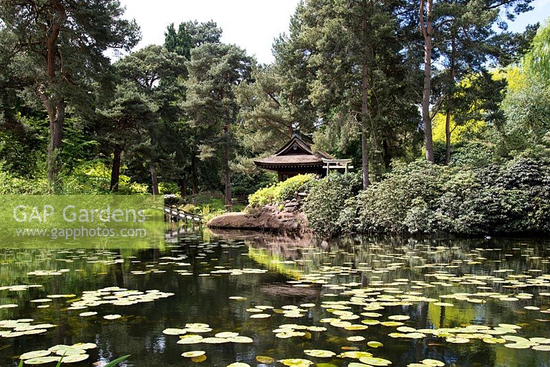 Der japanische Garten, Tatton Park, Cheshire.