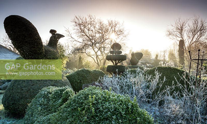 Yew and Box Topiary in Charlotte und Donald Molesworths Garten, Kent, UK.
