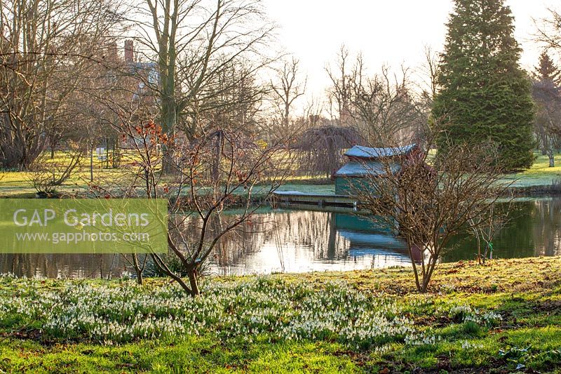 Schneeglöckchen neben See mit Bootshaus im Winter, Chippenham Park, Cambridgeshire.