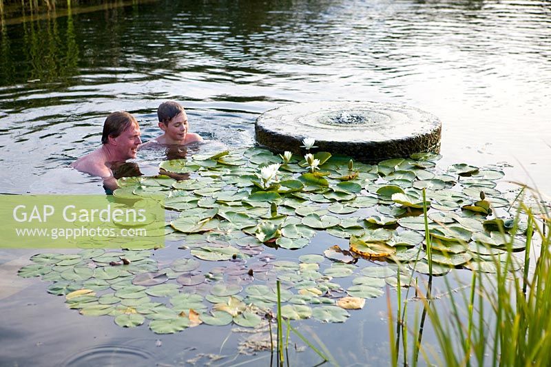 Mann und Junge im 'natürlichen' Schwimmbad, das Seerosen betrachtet
