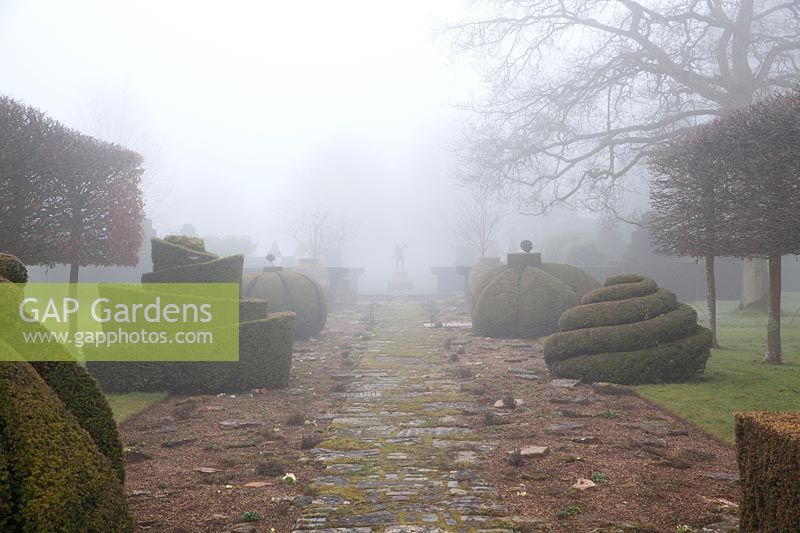 Der Thymian-Spaziergang im Nebel mit Golden Yew Topiary, Highgrove Garden im Februar 2019.