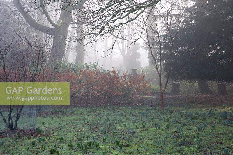 Blick auf den Winterbourne Garden von der Wiese, Highgrove, März 2019.