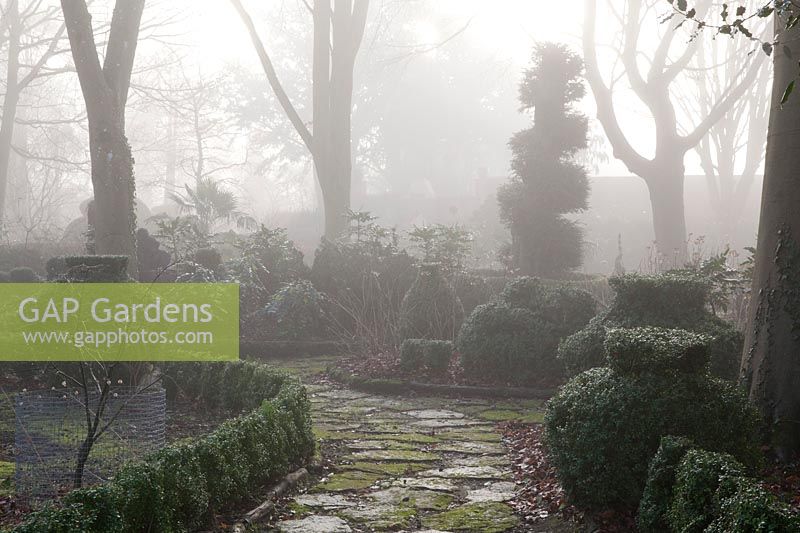 Buxus - Kastentopiary im nebligen Garten. The Winterbourne Garden, Highgrove, Februar 2019.