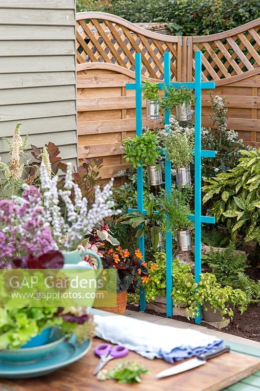 Spalier Blechdose Pflanzgefäß mit Kräutern bepflanzt und am Rand der Terrasse für einfachen Zugang verwendet