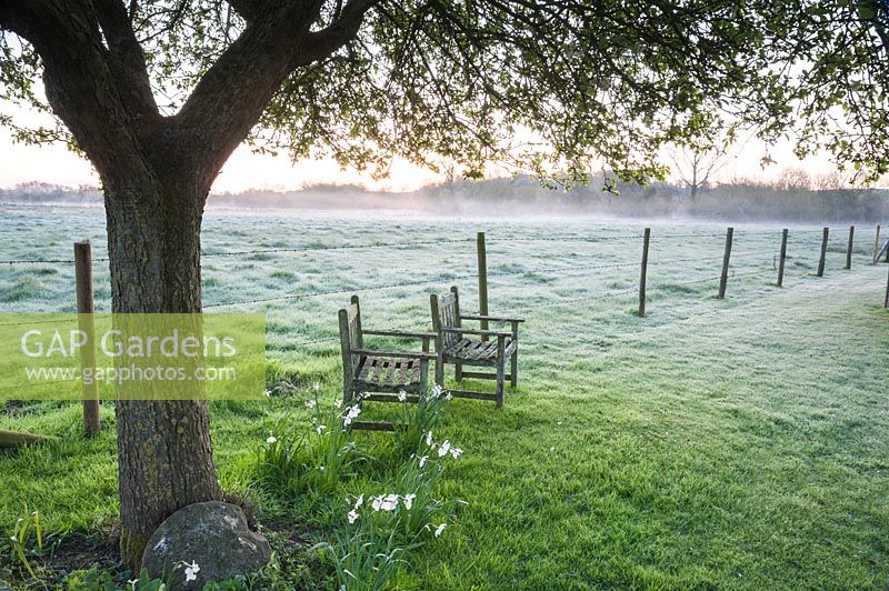 Nebel steigt im Morgengrauen mit Stühlen unter Baum neben Zaun und Feldern, Stockbridge, Hampshire auf