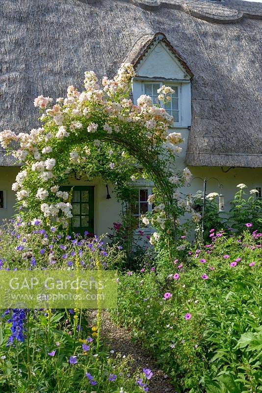 Bauerngarten mit Rosenbogen bedeckt mit Rosa 'Phyllis Bide' - Rose 'Phyllis Bide'