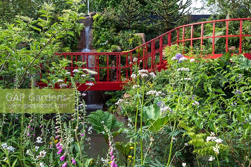 Die RHS Chelsea Flower Show 2019. Der Trailfinders 'Undiscovered Latin America' Garden. Rot gestrichene Brücke und Wasserfall im weichen informellen Garten.