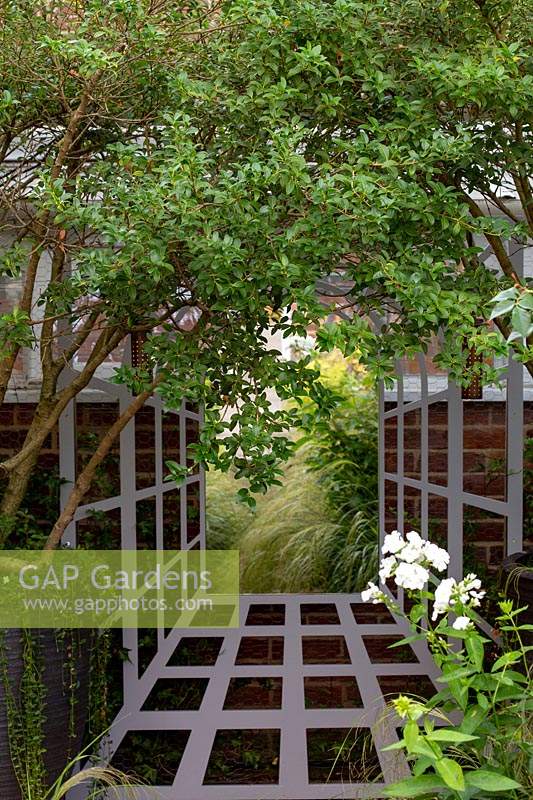 Gitter auf Backsteinmauerrahmen Gartenspiegel, verwendet, um Grenze in einem kleinen Garten zu verkleiden. Osmanthus Burkwoodii multistem im schwarzen Topf in der Nähe
