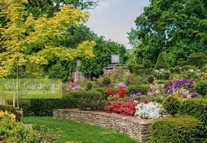 Der Buttress Garden – Blick über Hochbeete mit blühenden Azaleen und Formschnitten, Mai 2022.