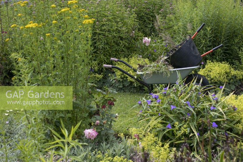 Schubkarre mit Werkzeugen im Winterbourne Botanic Garden, Juli