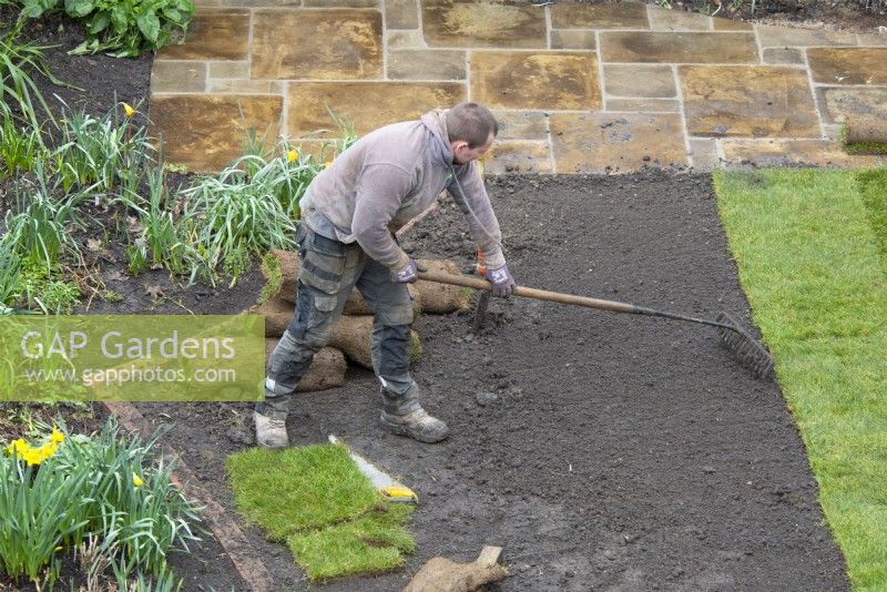 Ein Gartenarbeiter, der den Boden harkt, um den Rasen während einer Gartenumgestaltung vorzubereiten.