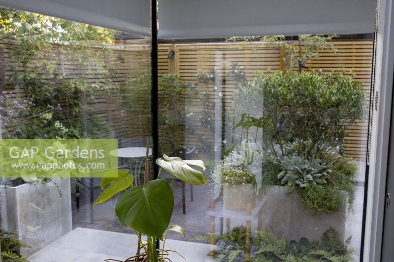 Blick durch raumhohe Fenster auf einen modernen Garten mit Terrasse, Umzäunung und mit Stauden bepflanzten Hochbeeten.