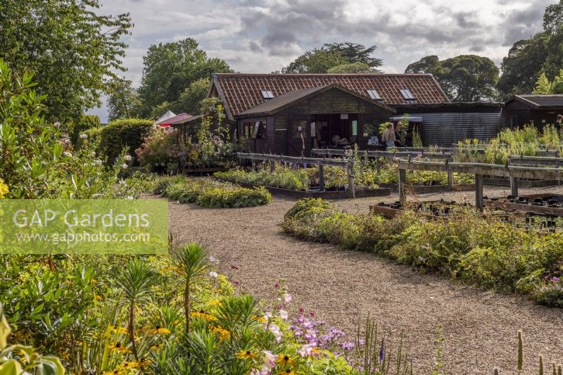 Blick auf den Pflanzenverkaufsbereich in West Acre Gardens and Nursery, Norfolk