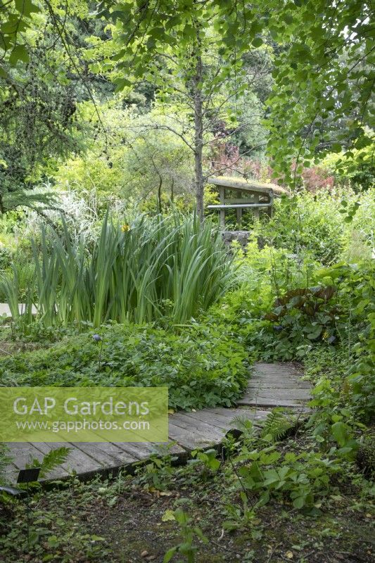 Holzweg durch Gebüsch im Birmingham Botanical Gardens and Glasshouses, Juni