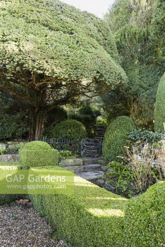 Beschnittener Buchsbaum und Eibe um ein Tor, das von der Großen Terrasse zum Japanischen Garten im Iford Manor im Januar führt 