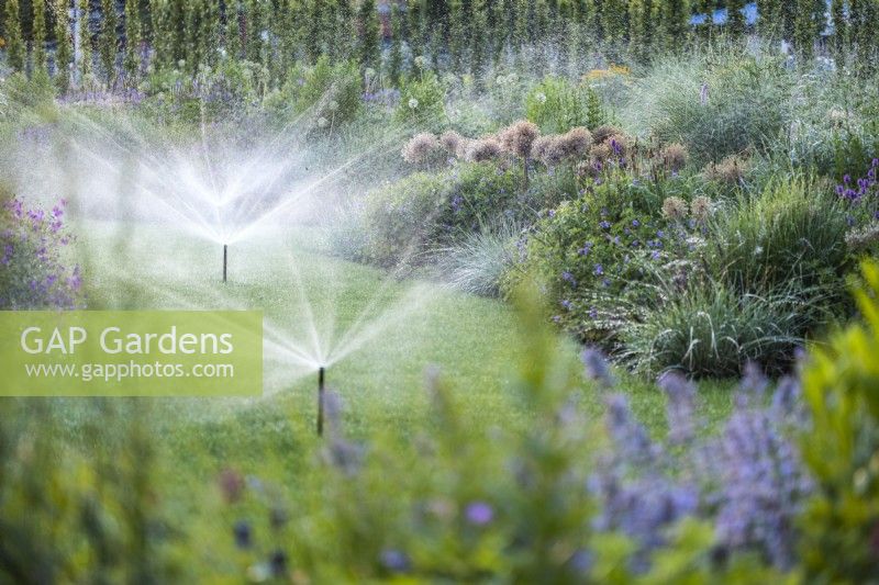 Bewässerung eines Rasens mit automatischen Sprinklern zwischen Staudenbeeten 