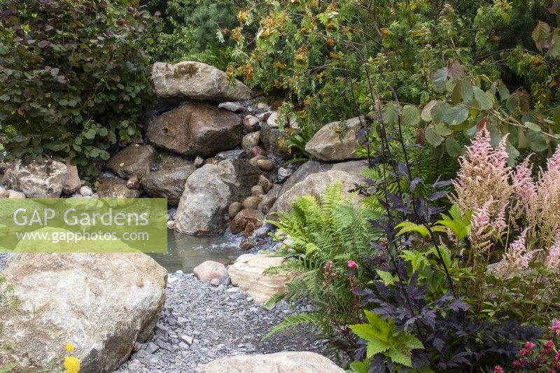 Felsbrocken umgeben ein flaches natürliches Wasserspiel mit Farnen und Astilbe – The Oregon Garden – Designerin Sadie May Stowell – RHS Hampton Court Palace Garden Festival 