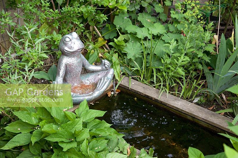Kleiner Buddha-Frosch an einem Wasserbecken
