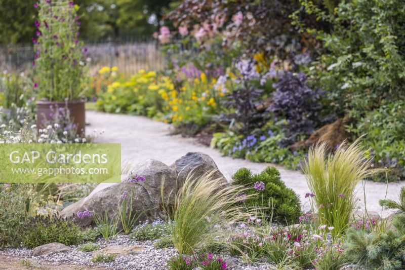 Stipa tenuissima in dürretolerantem Gebiet. RHS Iconic Horticultural Hero Garden, Designerin: Carol Klein, RHS Hampton Court Palace Garden Festival 2023 