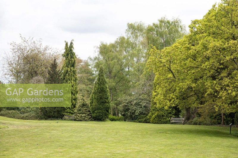 Botanischer Garten der Universität LeicesterAllgemeine Ansichten. Rasen 
