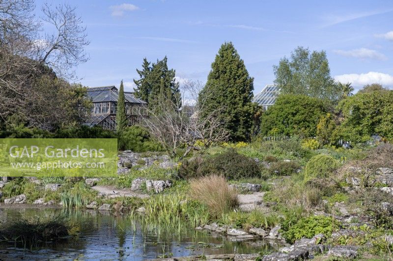 Botanischer Garten von Cambridge, England, Großbritannien. Allgemeine Ansichten. Teich und Steingarten 