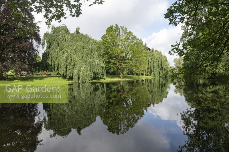 Groningen, Niederlande. Stadtparks. Bäume spiegeln sich in perfekter Symmetrie im Wasser der Teiche des Noorderplantsoen-Parks im Zentrum der Stadt. 